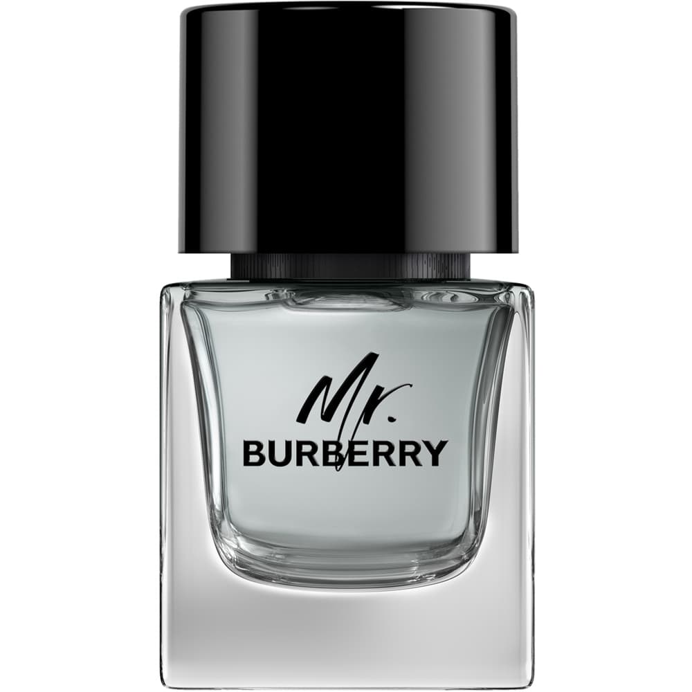Burberry Mr. Burberry