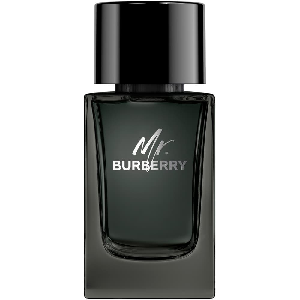 Burberry Mr. Burberry