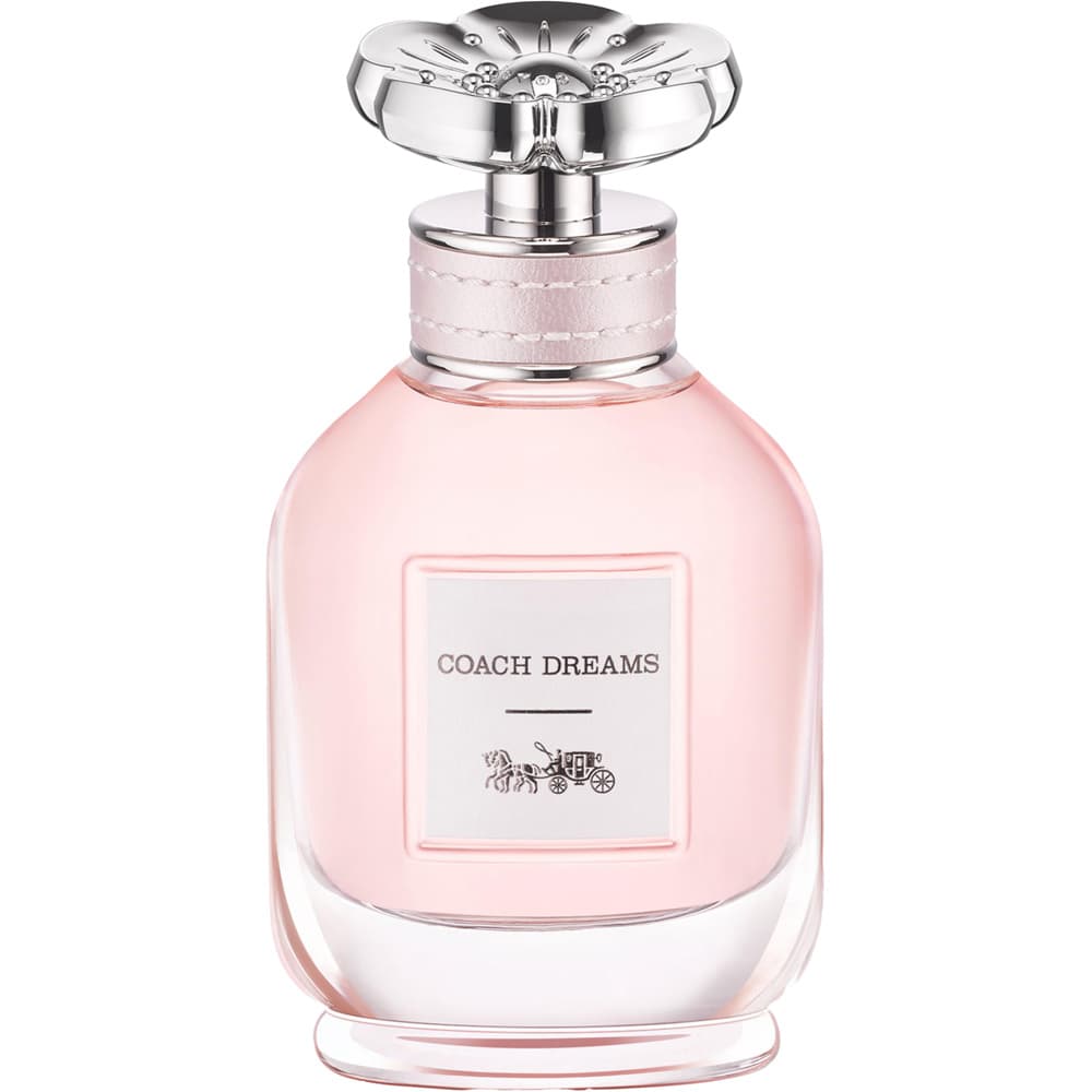 Coach Coach Dreams